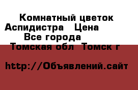 Комнатный цветок Аспидистра › Цена ­ 150 - Все города  »    . Томская обл.,Томск г.